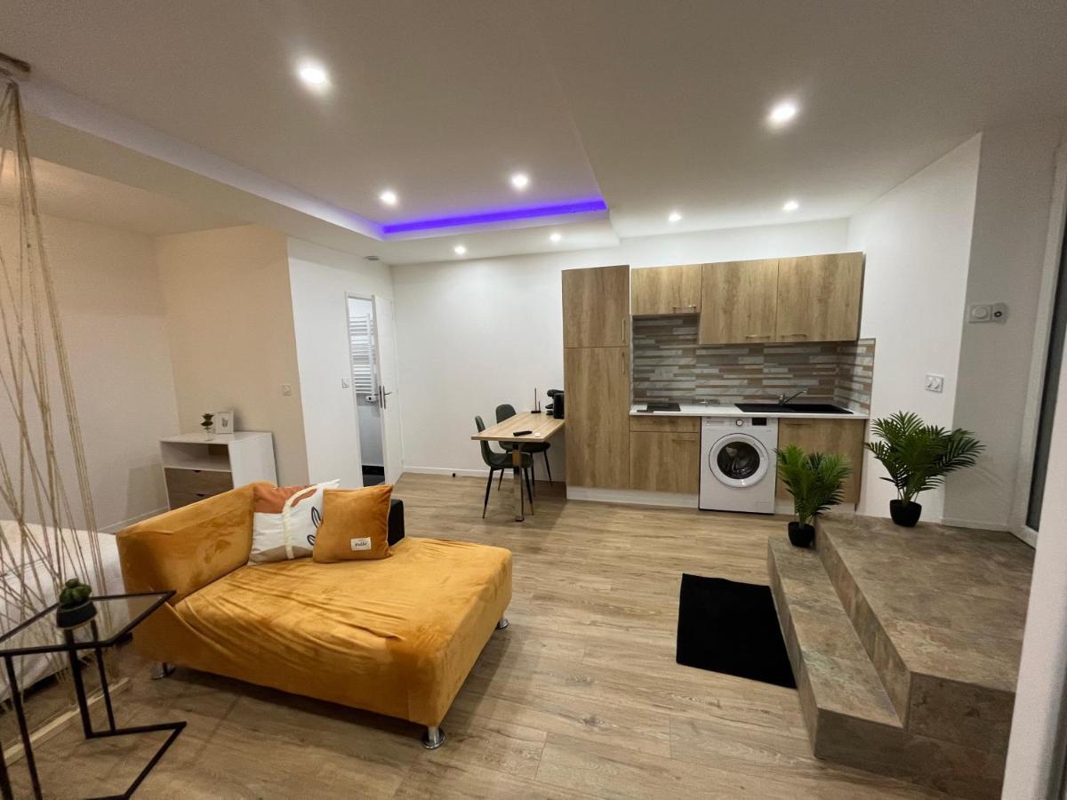 Appartement Luxe Jaune Saint-Etienne  Ngoại thất bức ảnh